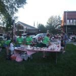 Ice Cream Social hosted by the Mercer Area Girl Scouts.